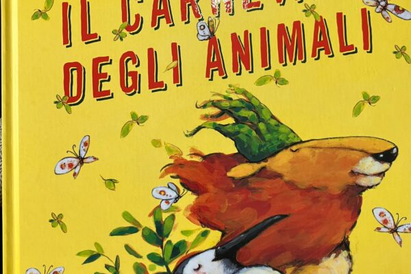 WhatsApp Image 2026-02-13 at 11.11.14