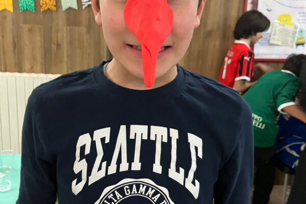 WhatsApp Image 2026-02-13 at 11.11.16